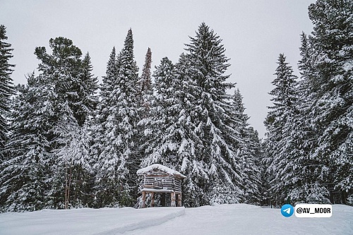 Александр Моор: Север прекрасен во всех проявлениях