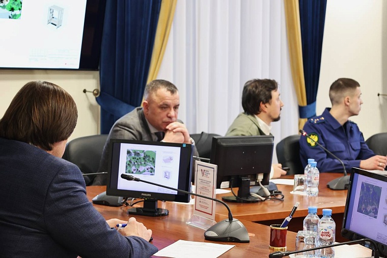 После благоустройства в Спортивном сквере Тобольска планируют посадить больше деревьев