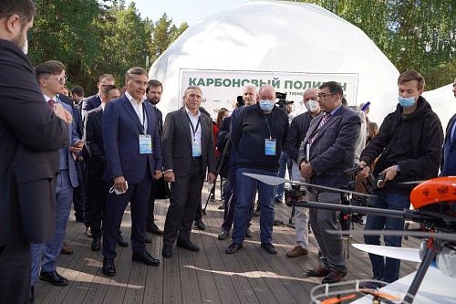 Результаты, полученные на карбоновом полигоне, будут использованы в лесовосстановлении и АПК