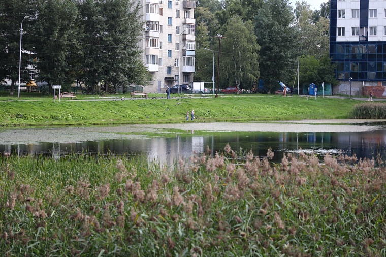 Благоустройство пруда Утиного в Тюмени начнётся в апреле