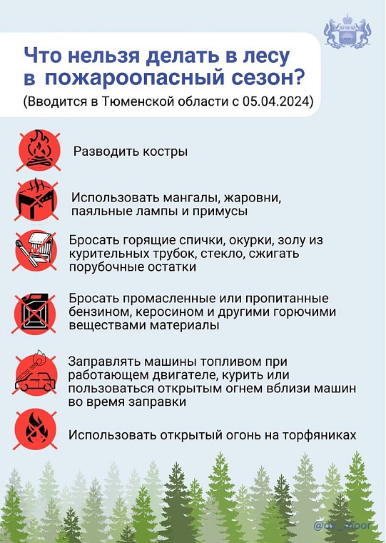 В Тюменской области с 5 апреля вводится противопожарный режим: что запрещено
