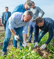 Губернатор Александр Моор лично оценил урожайность овощей