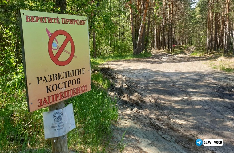 Губернатор Александр Моор продлил особый противопожарный режим до 26 июня