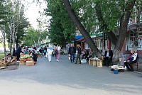 Депутаты Тюменской облдумы предложили сделать цивилизованной уличную торговлю