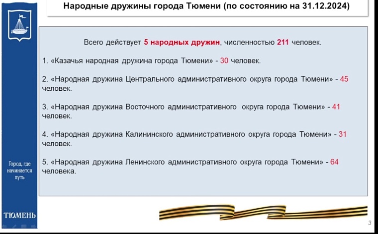 Депутаты гордумы предложили расширить работу дружинников