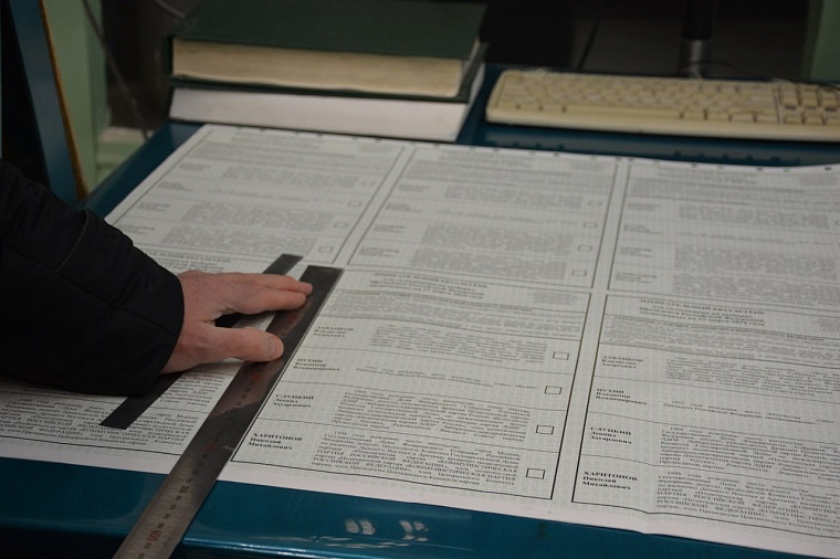 Председатель Тюменского избиркома Игорь Халин согласовал бюллетень на выборы президента РФ