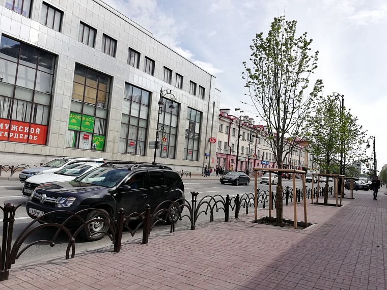 Депутаты гордумы предложили усилить контроль за содержанием деревьев