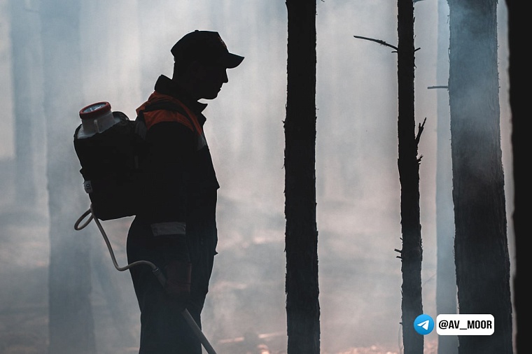 Александр Моор: С 5 апреля в Тюменской области будет установлен запрет на посещение лесов