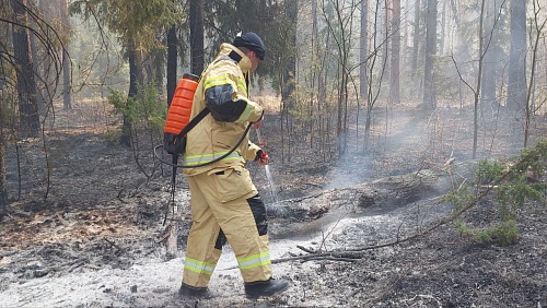 Депутаты гордумы призвали не расслабляться в вопросах противопожарной безопасности