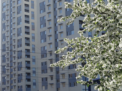 В Госдуме предложили разрешить россиянам брать удалёнку в период сезонной аллергии