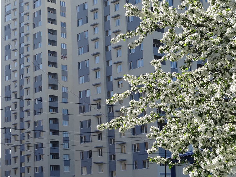 В Госдуме предложили разрешить россиянам брать удалёнку в период сезонной аллергии