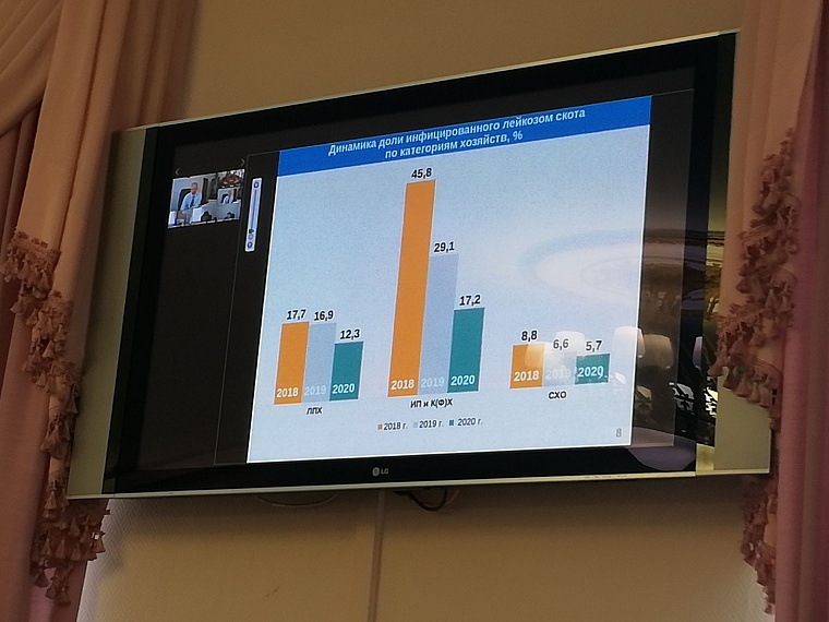 Депутаты оценили снижение заболеваемости лейкозом крупного рогатого скота