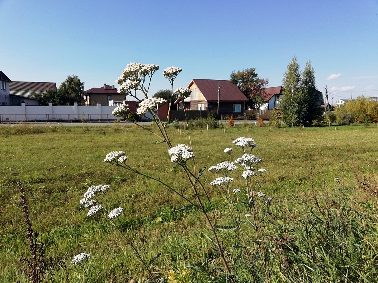 В России призвали разрешить самостоятельное строительство домов в рамках семейной ипотеки