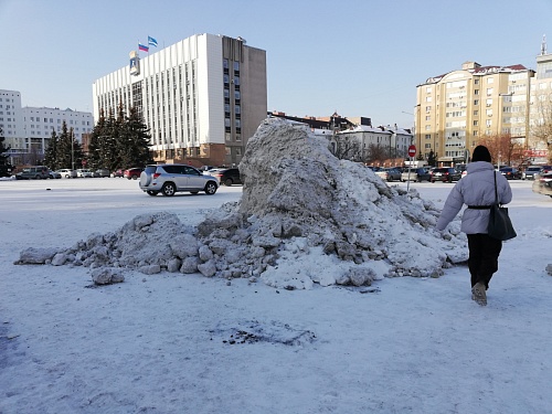 Тюменский депутат предложил вместо спецполигонов устанавливать снегоплавильные установки