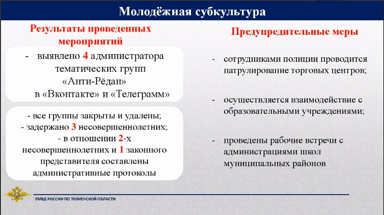 «Рёдан» и «Анти-Рёдан»: начальник УМВД прокомментировал субкультуры в Тюменской области