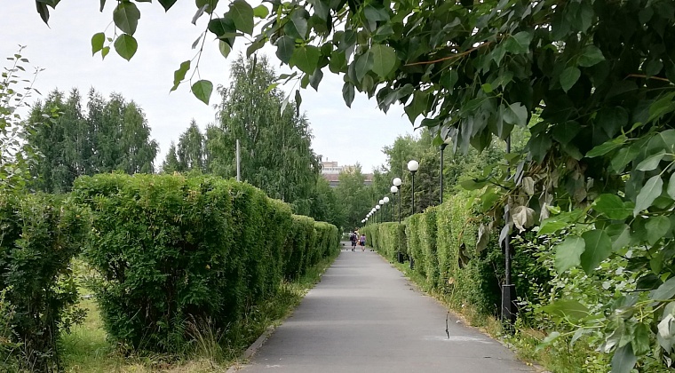 Депутаты гордумы выступают за больший охват лесов Тюмени для отдыха