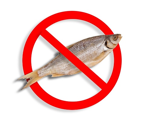 "Нет вобле". Тюменку, написавшую провокационный лозунг, оправдали в суде