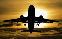 Рейс из Нижневартовска перенесли на сутки из-за столкновения самолета со стаей птиц