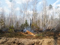 На Велижанском тракте предотвратили распространение пожара на дома в СНТ «Зеленый дол»