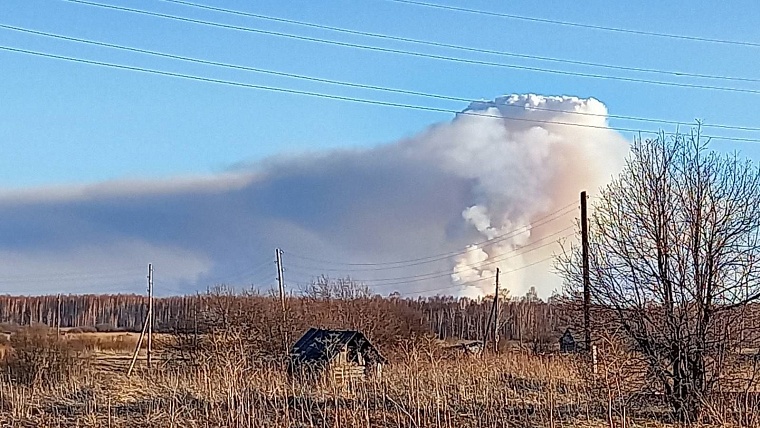 В Аромашевском районе горят леса недалеко от деревни