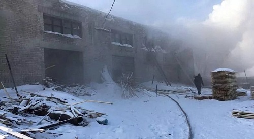 На пожаре под Тюменью спасли четырех коров