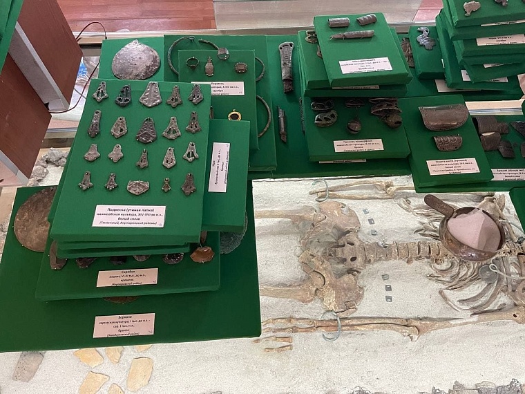 Владелец частного музея в Тюмени пойдет под суд за незаконный оборот экспонатов