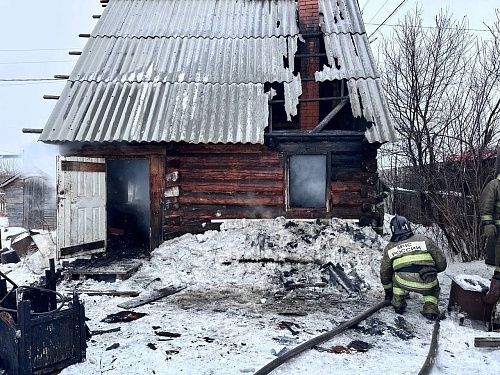 Во время пожара в тюменском СНТ «Автомобилист-2» погиб человек