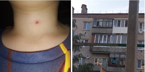 В поселке под Тюменью обстреляли малышей на детской площадке