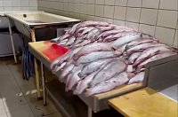 Житель Ямала купил на продажу 17 тонн рыбы неизвестного происхождения и складировал ее в гараже