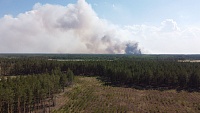 Площадь лесного пожара по Старотобольскому тракту возросла до 500 га
