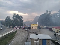 В Тюмени горит лесополоса у Пермяковского моста