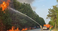 Пожар в районе Андреевского озера локализовали на площади 150 га