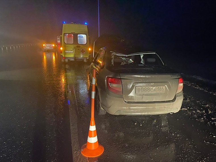 На трассе в Тюменском районе водитель "Лады" сбил лося