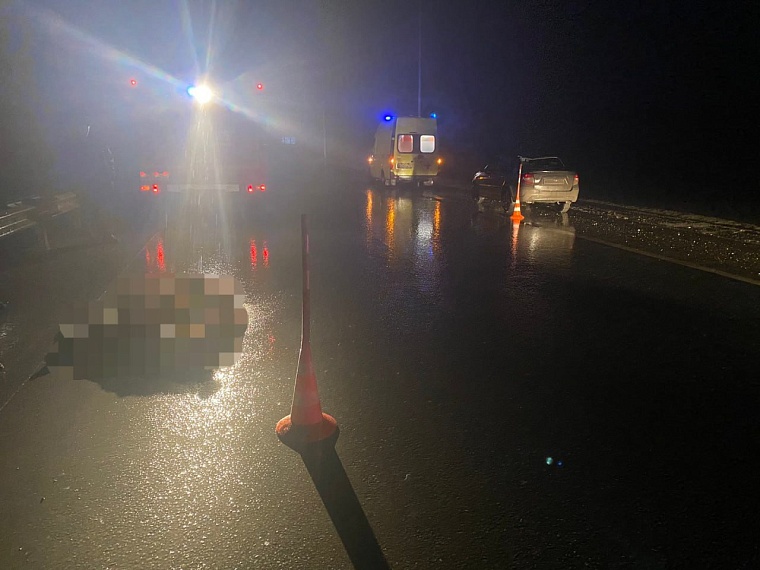 На трассе в Тюменском районе водитель "Лады" сбил лося