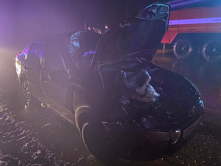 На трассе в Тюменском районе водитель "Лады" сбил лося