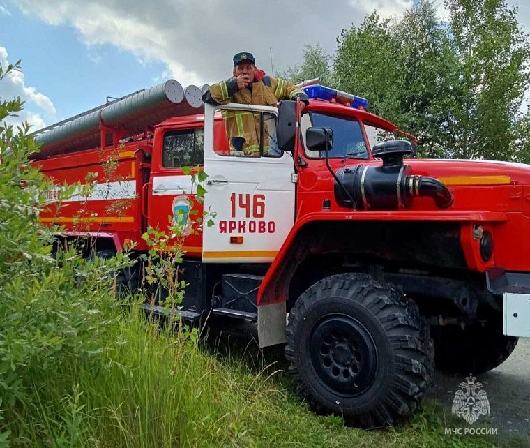 В Тюменской области ищут заблудившуюся в лесу пожилую женщину