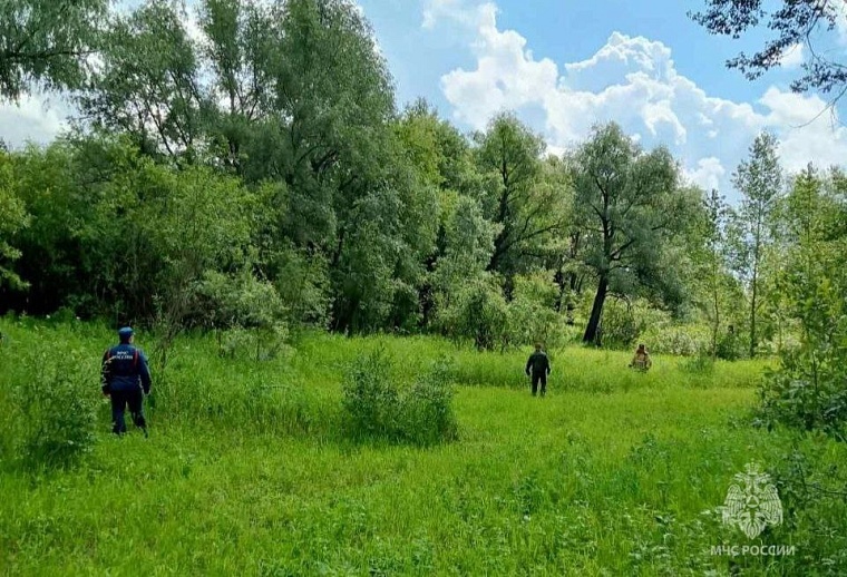 В Тюменской области ищут заблудившуюся в лесу пожилую женщину