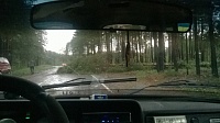 Последствия шторма в городе: упавшие деревья, разбитые авто и фонтаны в ТЦ