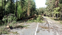Последствия шторма в городе: упавшие деревья, разбитые авто и фонтаны в ТЦ