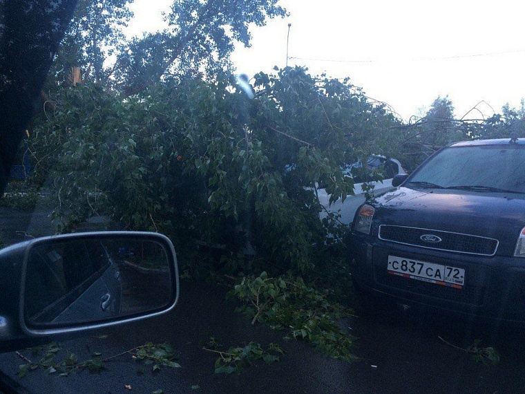 Последствия шторма в городе: упавшие деревья, разбитые авто и фонтаны в ТЦ