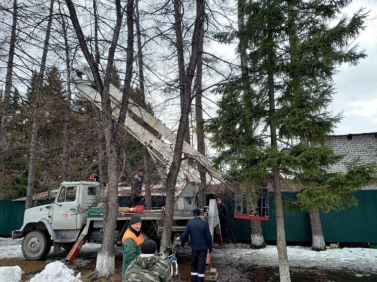 Кошкин дом г.Ялуторовск- ПОМОЩЬ БЕЗДОМНЫМ КОШКАМ