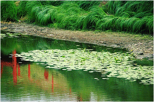 13-летняя девочка утонула в реке под Тюменью