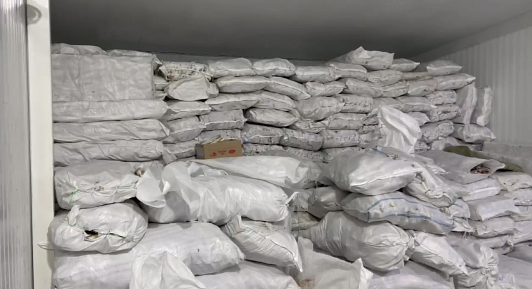 На Ямале спецслужбы перекрыли канал незаконного оборота рыбы