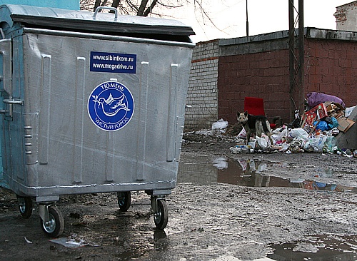 Документы тюменского выпускника случайно угодили в мусор