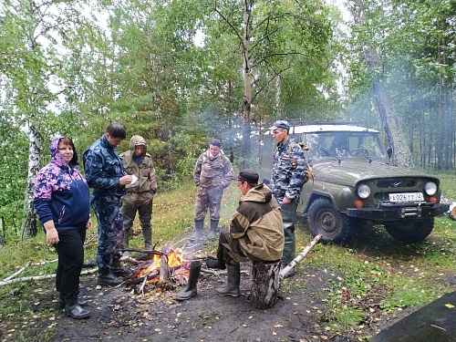 В Голышмановском районе нашли заблудившегося 72-летнего грибника
