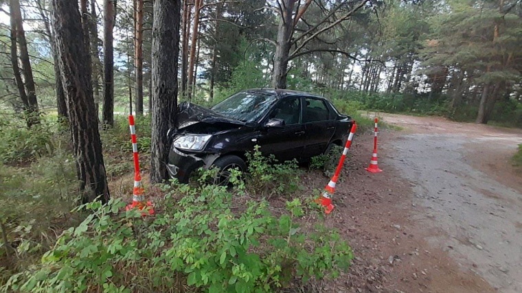 Пьяная тоболячка везла внуков и врезалась в дерево