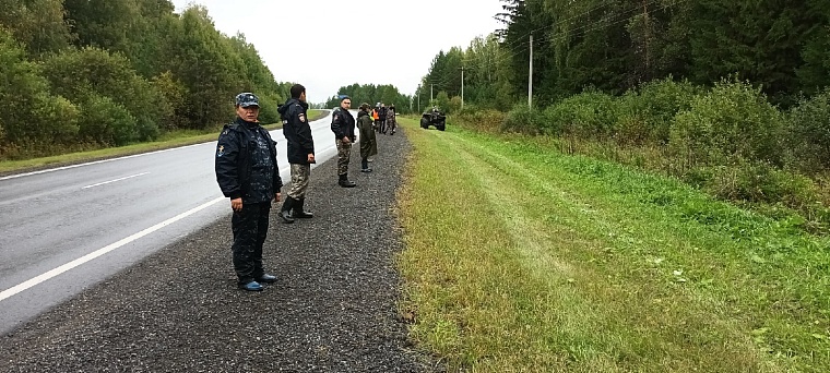 Пенсионерка, пропавшая в тюменских лесах, найдена погибшей