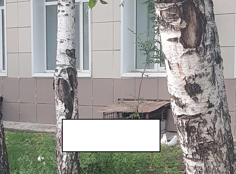 В районе КПД в Тюмени нашли мертвого мужчину