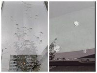 В Тюмени ночью из пневматики обстреляли окна и автомобили