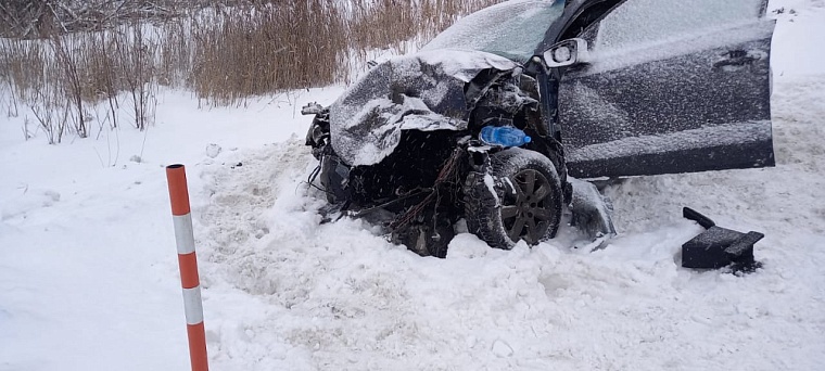 В ДТП на трассе Тюмень - Омск пострадали женщина и двое детей